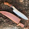 Damascus Steel Professional Chef Knife Handcrafted Wood Handle 1