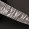 Damascus Steel Professional Chef Knife Bone Handle Design 2