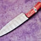 Handcrafted Damascus Steel Kitchen Knife Professional Chef Knife With Wood Handle 5