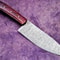 Luxury Handmade Damascus Chef Knife Full Tang Wood Handle Knife Gift 2