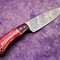 Exclusive Handmade Damascus Steel Knife Walnut Wood Handle Chef Edition 2