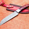Handmade Damascus Steel Knife Camping Skinning Knife With Sheath 0
