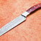 Handmade Damascus Steel Knife Camping Skinning Knife With Sheath 3