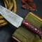 Luxury Handmade Damascus Chef Knife Hardwood Handle Professional Knife 1