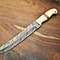 Authentic Handmade Damascus Fillet Knife 512Layer Blade With Pakka Wood Handle 0