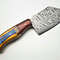 Traditional Handmade Damascus Chef Knife  512Layer Full Tang Fillet Knife With Pakka Handle 3