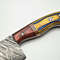 Traditional Handmade Damascus Chef Knife  512Layer Full Tang Fillet Knife With Pakka Handle 1