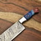 Beautiful Handmade Damascus Knife Professional Fillet Knife With 512Layer Blade 2