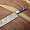 Beautiful Handmade Damascus Knife Professional Fillet Knife With 512Layer Blade 0