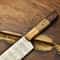 Damascus Chef Knife 512Layer Fillet Knife With Pakka Wood Handle 1