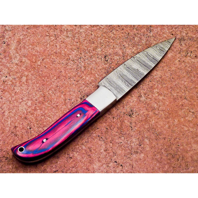 9 Custom Handmade Damascus Steel Chef Knife Professional Kitchen Camping Knife 3