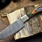 Custom Handmade Damascus Chef Knife Professional Kitchen Knife With Natural Wood Handle 0