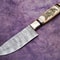 Superb Custom Handmade Damascus Chef Knife Camel Bone Handle With Scrimshaw 11 Kitchen 0