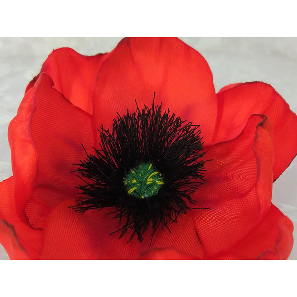 red poppy 1.jpg