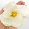 white magnolia 8.jpg