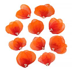 10 beautiful and delicate flat back orange cloth flowers. Haute couture sewing embellishment. Clothing decor
