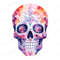 2-beautiful-dia-de-los-muertos-skull-clipart-transparent-background.jpg