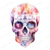 7-watercolor-simple-sugar-skull-clipart-images-clear-background-png.jpg