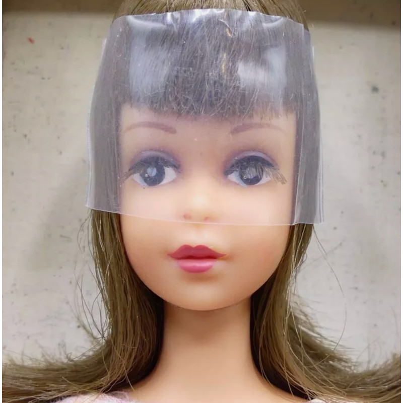 Japanese Exclusive Vintage Francie Barbie Doll Dressed And Boxed 1