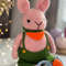 bunny knitting pattern by ola oslopova .png