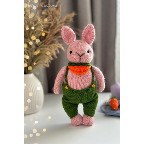 Raspberry bunny PDF Knitting Pattern download - knitted flat - written in ENGLISH  .png