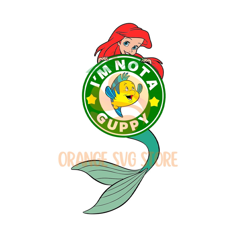 MR-orange-svg-store-ar30012024ht01-27220241811.jpeg