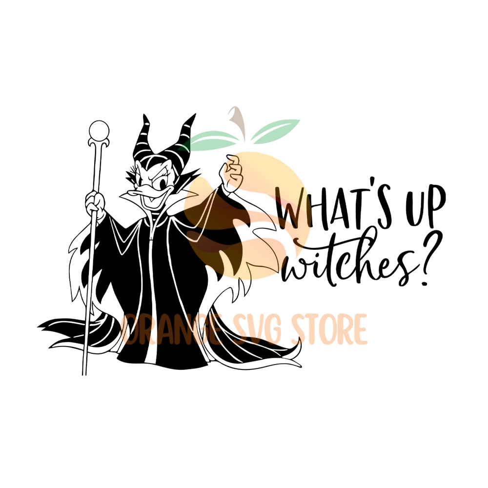 MR-orange-svg-store-dn24012024ht70-132024101550.jpeg