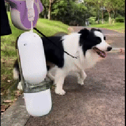 2 In 1 Portable Dog Drinking And Feeding Cup | Walk In A Park | Tophatter Deals