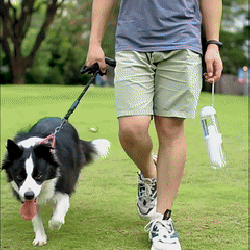 2 In 1 Portable Dog Drinking And Feeding Cup | Walk In A Park | Tophatter's Deals