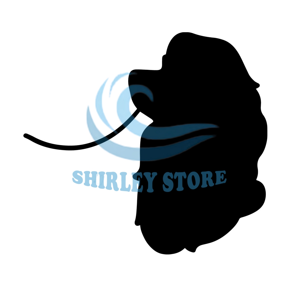 MR-shirley-store-dn24012024ht181-132024141413.jpeg