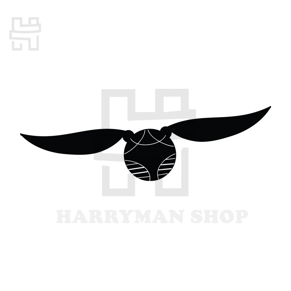 MR-harryman-shop-hp27012024ht386-2420241410.jpeg