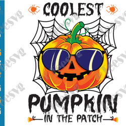 coolest pumpkin in the patch svg png halloween thanksgiving autumn fall svg cut baby boy cricut t shirt