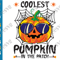 Coolest Pumpkin In The Patch SVG PNG Halloween Thanksgiving Autumn Fall SVG Cut Baby Boy Cricut T shirt.png