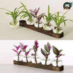 Botanic Brilliance Glass Vase Propagation Tray for Hydroponic Plants Enhance Your Home and Office Decor