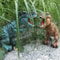Electric Toy Large Size Walking Dinosaur Robot Light Sound Spray Eggs Mechanical Dinosaur Model To 1