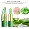 Warm Change Aloe Vera Lipstick Magical Color Changing LongLasting Moisturizing Lip Balm