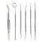 Professional Stainless Steel Dentist Oral Tools Set Mirror Flossing Tartar Removal Cleaning Kit