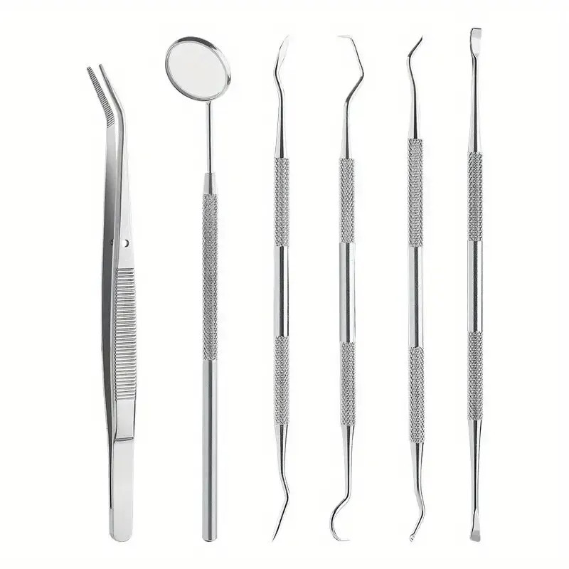 Professional Stainless Steel Dentist Oral Tools Set Mirror Flossing Tartar Removal Cleaning Kit