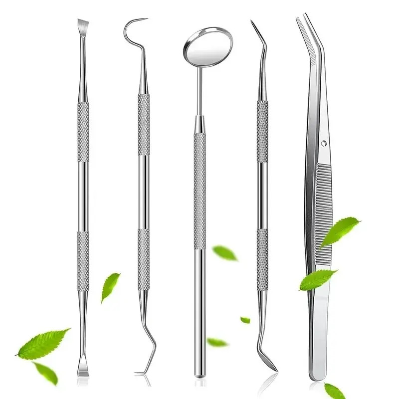 Professional Stainless Steel Dentist Oral Tools Set Mirror Flossing Tartar Removal Cleaning Kit