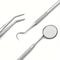 Professional Stainless Steel Dentist Oral Tools Set Mirror Flossing Tartar Removal Cleaning Kit