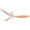 Modern 30W Ceiling Fan with Remote Control Low Floor DC Motor No Light Ideal Home Fan for Quiet C