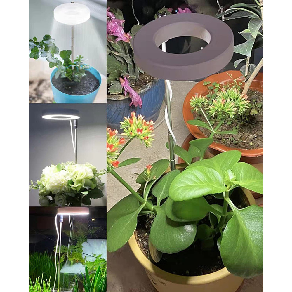 Indoor Plant LED Grow Light Full Spectrum Floor Lamp with Timer Dimming and Adjustable Height for