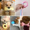 Durable Dog Chew Toys For Small Breeds TPR Knot Teething Puppy Toys For Teeth Cleaning  Boredom Rel 3
