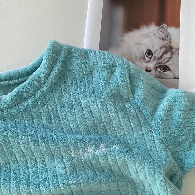 Women Casual Pajama Sets Autumn Women Solid Warm Piece Sets Thicken Velvet Ribbed Fleece Set Pullov 2