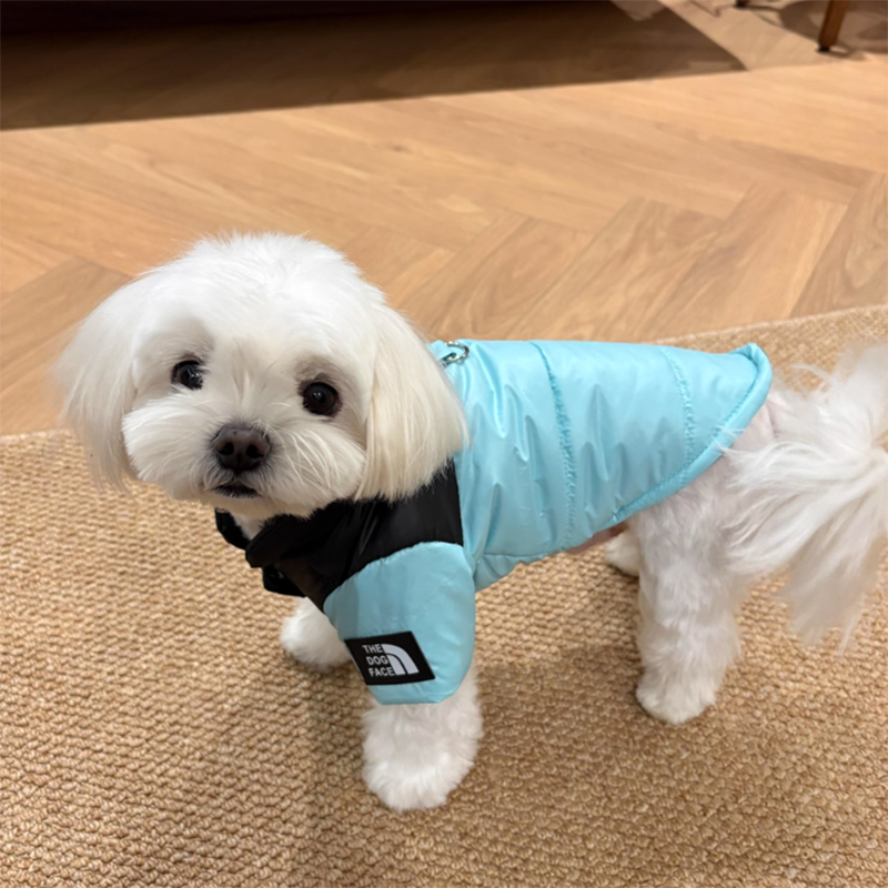 Small To Medium Dog Cute Winter Clothing Pet Warm Cotton Coat Twolegged Thickened Teddy Down Jacket 6