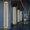 Modern LED Wall Lighting Fixture Outdoor Long Strip Sconce Frosted White Acrylic Wall Lamp IP67 Wat 0