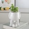 Light Luxury Succulent Ceramic Flowerpot Human Creative Desktop Planter Simple Decorative Flowerpot 3
