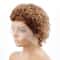 Pixie Cut Colored Lace Wig Spring Curl Short Bob Wig For Women Natural Black Human Hair Affordable 10
