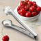 Jujube Corer Stainless Steel Hawthorn Corer Cherry Carrion Picker Fruit Cutting Tool For Kitchen 0