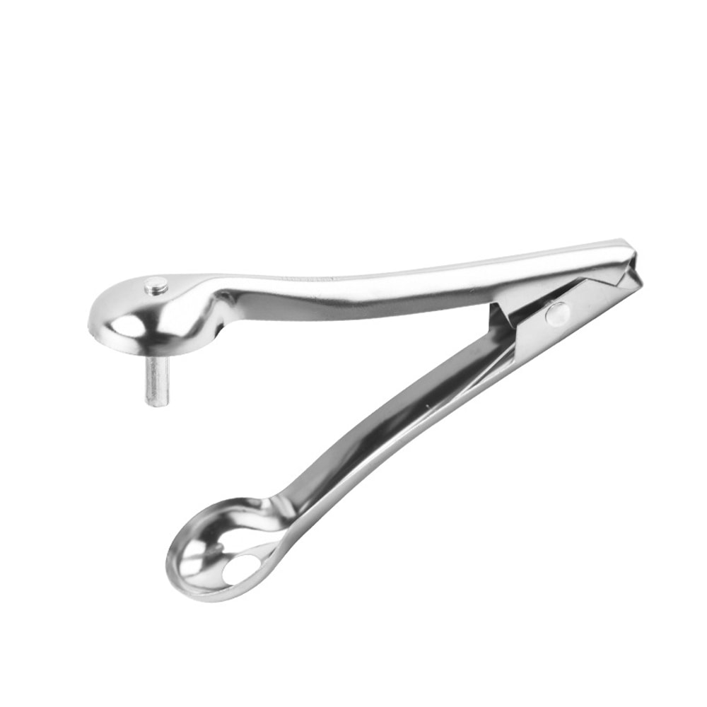 Jujube Corer Stainless Steel Hawthorn Corer Cherry Carrion Picker Fruit Cutting Tool For Kitchen 5